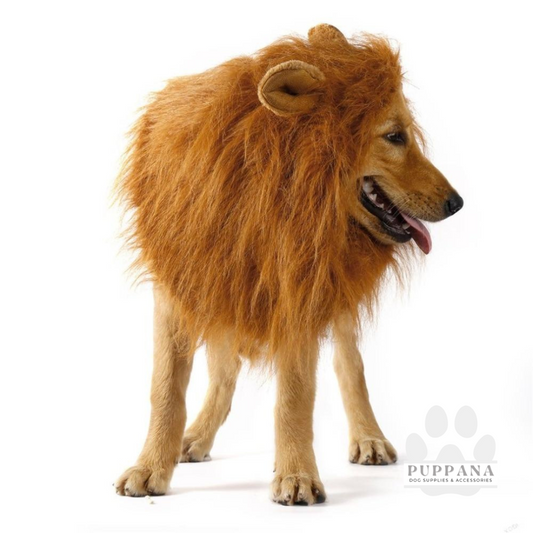 Halloween Lion Wig For Dogs