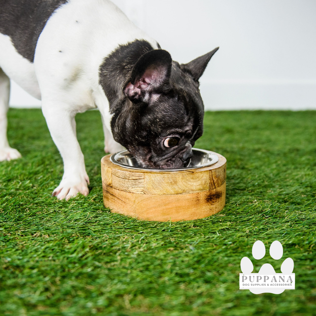 Mango Wood Bowl Single Feeder