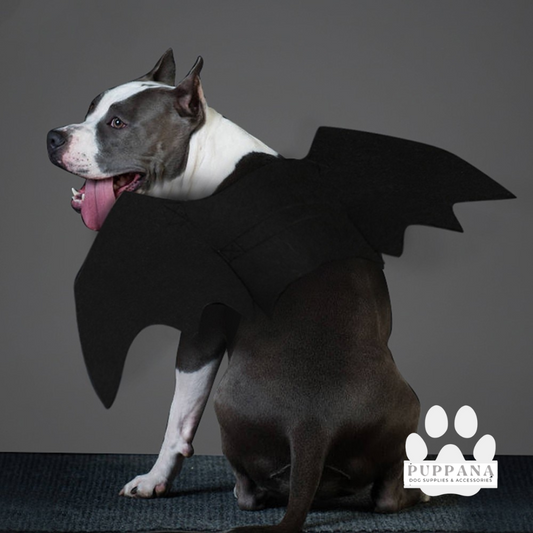 Halloween Bat Wings Costume