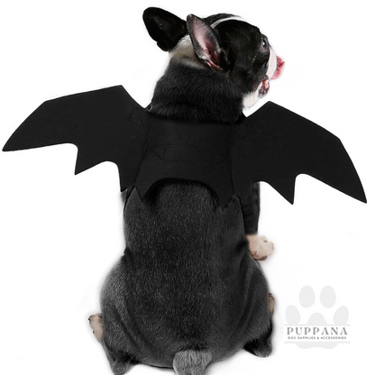 Halloween Bat Wings Costume