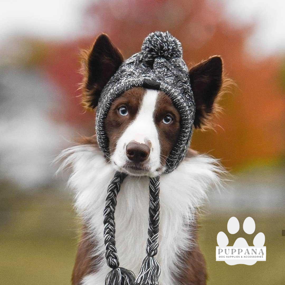 Cable Knit Hat With Pompom