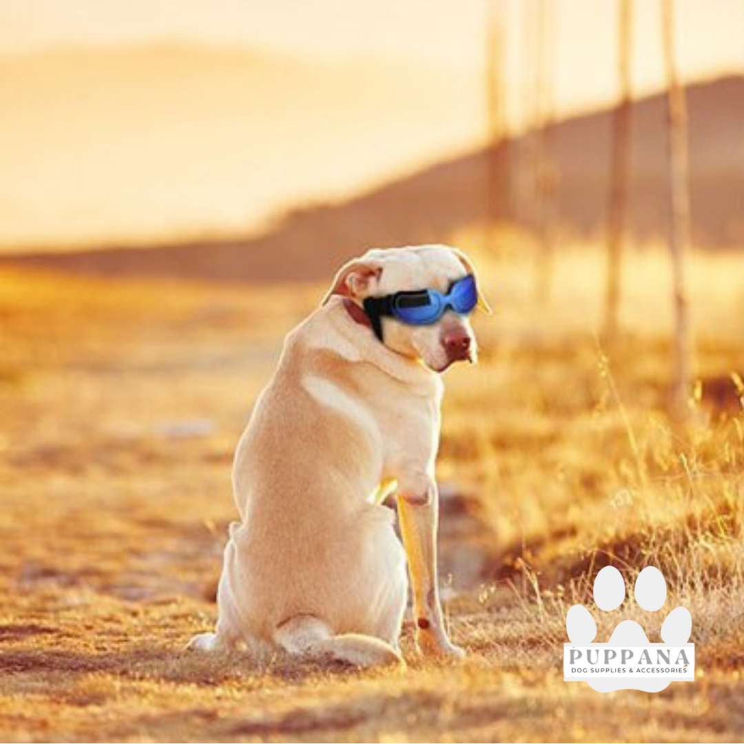 UV Protection Sunglasses Doggy Goggles, Dog Sunglasses