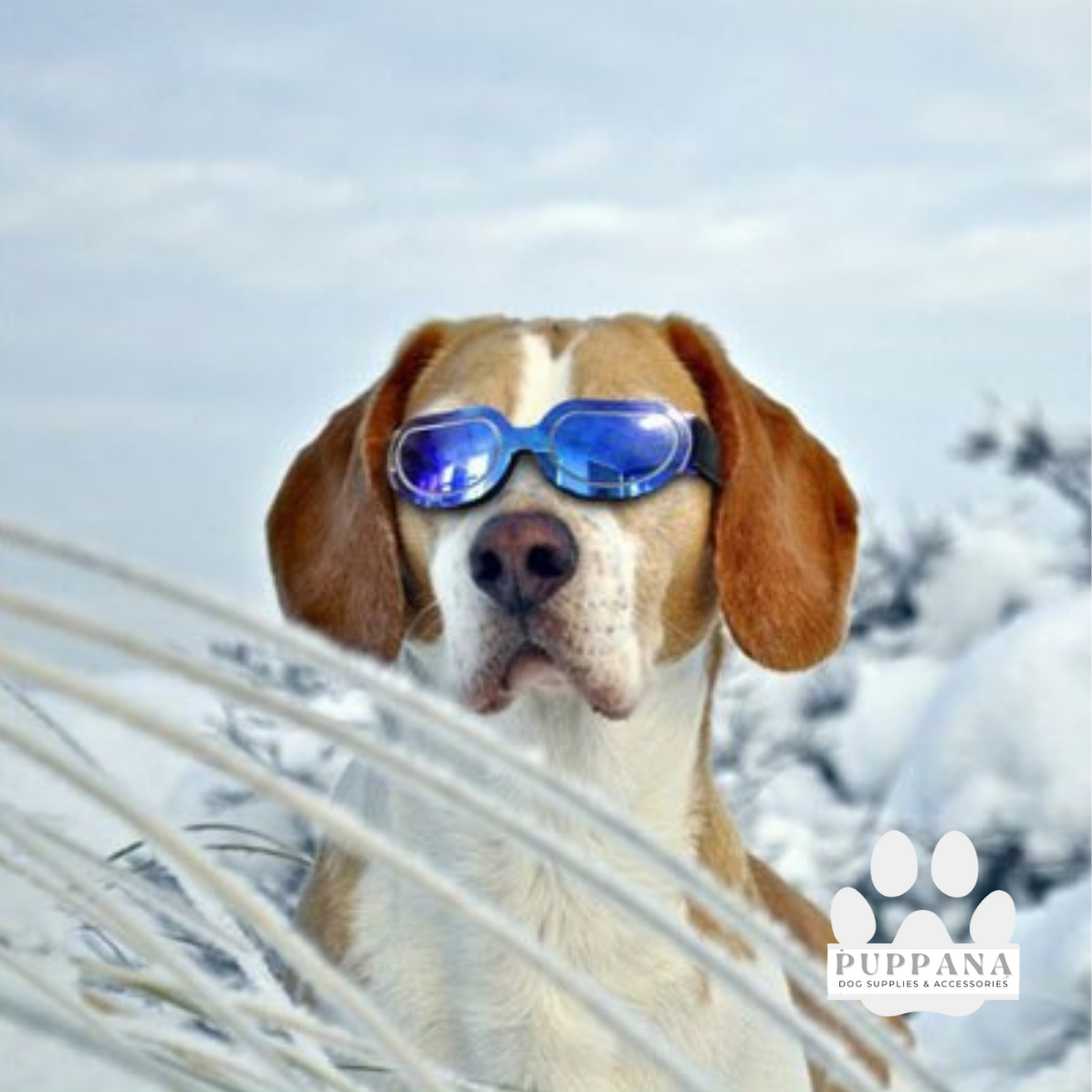 UV Protection Sunglasses Doggy Goggles, Dog Sunglasses