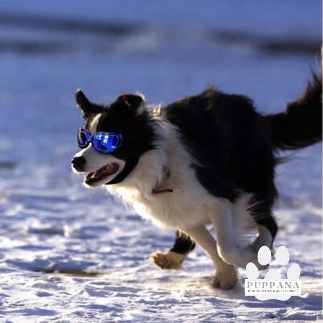 UV Protection Sunglasses Doggy Goggles, Dog Sunglasses