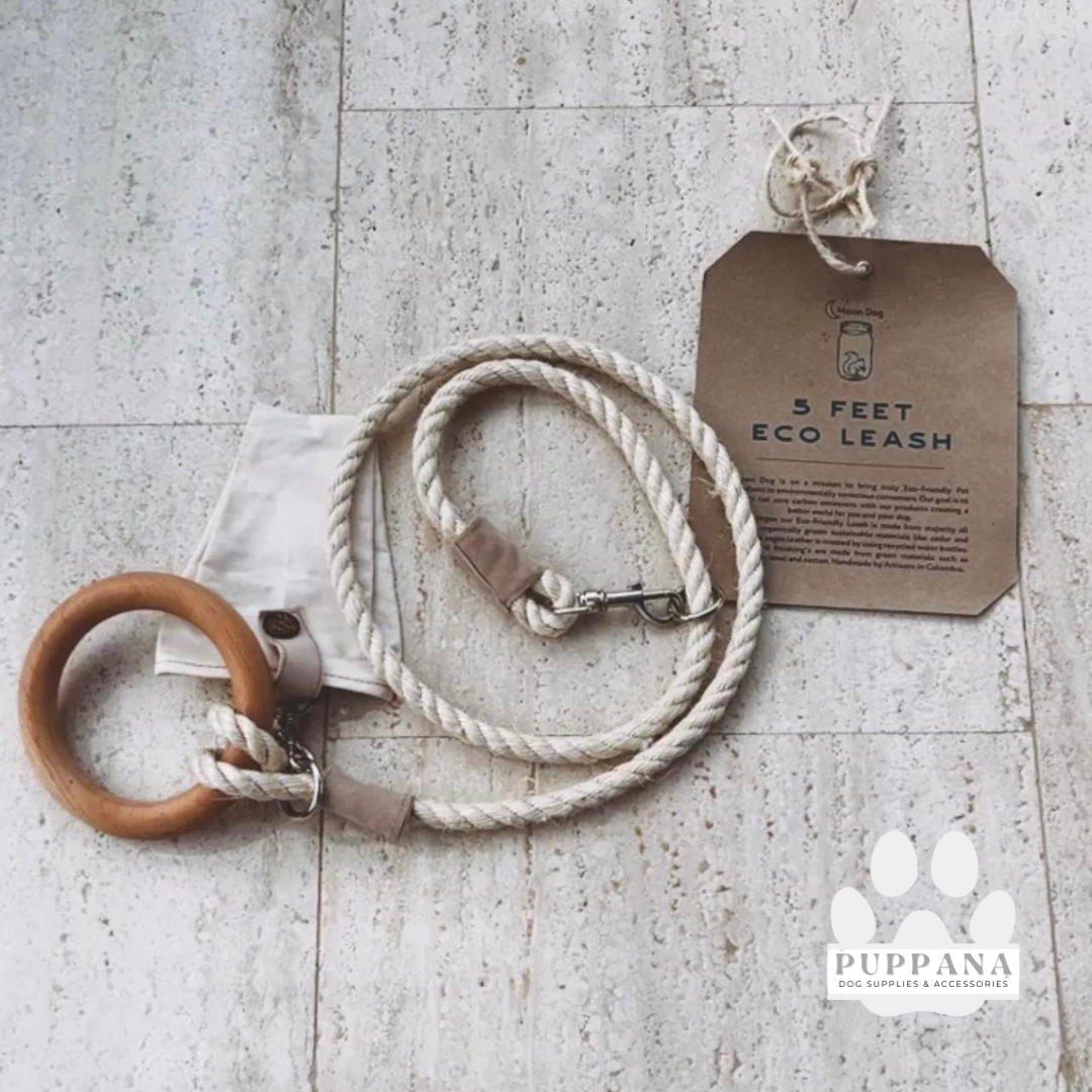 Eco-Friendly Dog Leash with Storage Bag